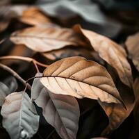 een dichtbij omhoog van sommige bruin bladeren Aan de grond generatief ai foto