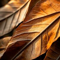 een dichtbij omhoog visie van sommige bruin bladeren generatief ai foto