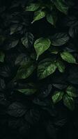een donker achtergrond met groen bladeren generatief ai foto