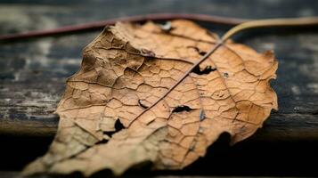 een dood blad houdende Aan een houten oppervlakte generatief ai foto