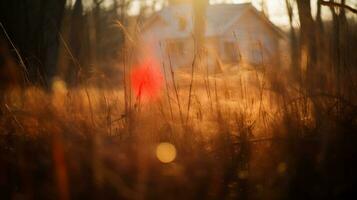 een huis in de midden- van een veld- met hoog gras generatief ai foto