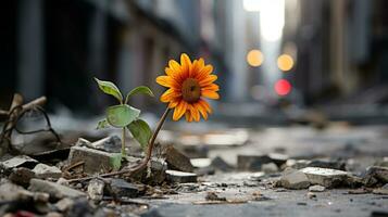 een eenzaam zonnebloem groeit uit van de puin van een stad straat generatief ai foto