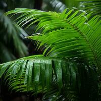 een palm boom met regen druppels Aan het generatief ai foto