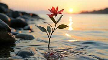 een rood bloem zit in de water Bij zonsondergang generatief ai foto