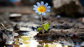 een single blauw bloem groeit uit van een modderig plas generatief ai foto
