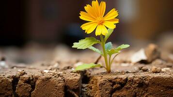 een geel bloem is groeit uit van een barst in de grond generatief ai foto