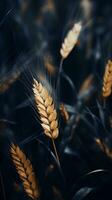een beeld van sommige tarwe in een veld- generatief ai foto