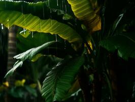 regendruppels Aan de bladeren van een tropisch fabriek in de regen generatief ai foto