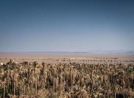 woestijnlandschapsmening in garmeh-oase dichtbij yazd zuidelijk iran