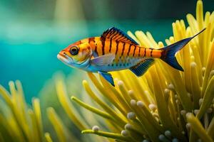 een vis zwemmen in een aquarium met sommige planten. ai-gegenereerd foto