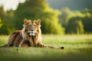 een leeuw is zittend in de gras. ai-gegenereerd foto