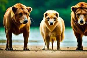 drie bruin bears staand De volgende naar elk ander. ai-gegenereerd foto