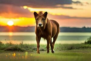 een paard is staand in voorkant van de zonsondergang. ai-gegenereerd foto