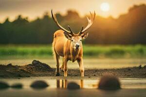 een hert is staand in de water Bij zonsondergang. ai-gegenereerd foto