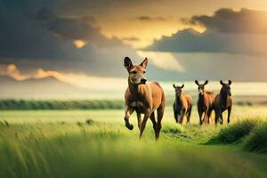 paarden rennen in de veld. ai-gegenereerd foto