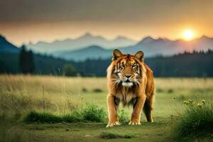 een tijger wandelen in de gras Bij zonsondergang. ai-gegenereerd foto