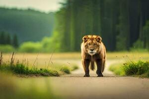 een leeuw wandelen naar beneden een weg in de midden- van een Woud. ai-gegenereerd foto