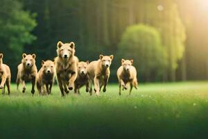 een groep van bruin honden rennen in de gras. ai-gegenereerd foto