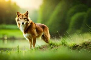 een hond staand in de gras in de buurt een meer. ai-gegenereerd foto