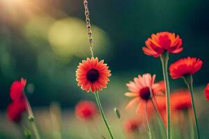 rood bloemen in de zon met een spin hangende van het. ai-gegenereerd foto