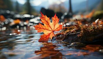 levendig herfst Woud, geel bladeren vallen, reflecterend in rustig vijver gegenereerd door ai foto