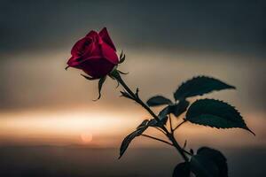 een single rood roos is in voorkant van de zonsondergang. ai-gegenereerd foto