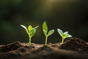 drie jong planten ontspruiten van de grond. ai-gegenereerd foto