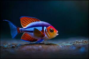 een kleurrijk vis met een donker achtergrond. ai-gegenereerd foto
