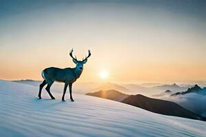 een hert staat Aan top van een besneeuwd berg Bij zonsondergang. ai-gegenereerd foto