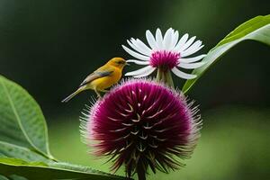 een vogel neergestreken Aan een bloem in de tuin. ai-gegenereerd foto