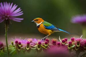 een kleurrijk vogel zit Aan top van Purper bloemen. ai-gegenereerd foto