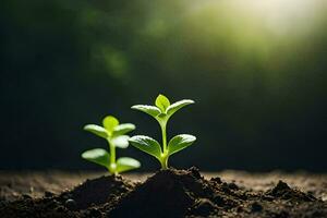 twee jong planten groeit in de aarde. ai-gegenereerd foto