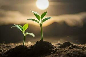 twee jong planten groeit in de aarde. ai-gegenereerd foto