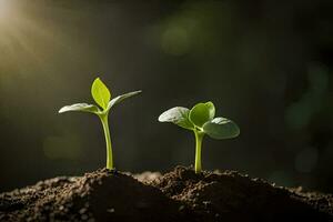 twee jong planten groeit in de aarde. ai-gegenereerd foto