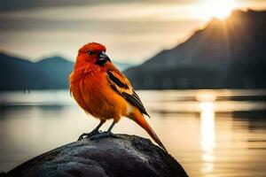 een helder oranje vogel zit Aan een rots in voorkant van de water. ai-gegenereerd foto