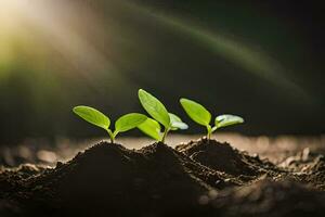 drie jong planten ontspruiten van de grond. ai-gegenereerd foto