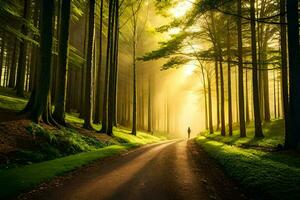 een Mens wandelen naar beneden een weg in de Woud. ai-gegenereerd foto