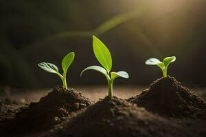 drie jong planten groeit in de aarde. ai-gegenereerd foto