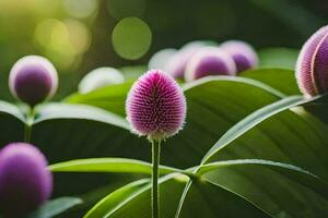 een dichtbij omhoog van sommige Purper bloemen. ai-gegenereerd foto