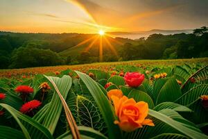 de zon instelling over- een veld- van bloemen. ai-gegenereerd foto