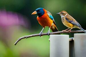 twee kleurrijk vogelstand zittend Aan een Afdeling. ai-gegenereerd foto