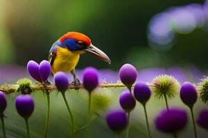 een kleurrijk vogel zit Aan een Afdeling in voorkant van Purper bloemen. ai-gegenereerd foto