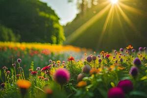 kleurrijk bloemen in een veld- met de zon schijnt. ai-gegenereerd foto