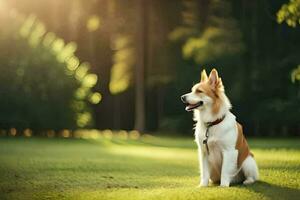 een hond zittend Aan de gras in de zon. ai-gegenereerd foto