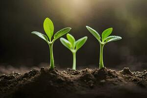 drie jong planten groeit in bodem. ai-gegenereerd foto