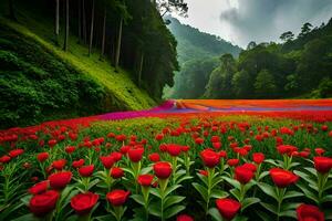 een veld- van rood tulpen in de midden- van een Woud. ai-gegenereerd foto