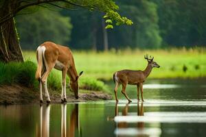 twee hert drinken water van een rivier. ai-gegenereerd foto