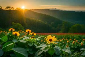 zonnebloemen in de veld. ai-gegenereerd foto