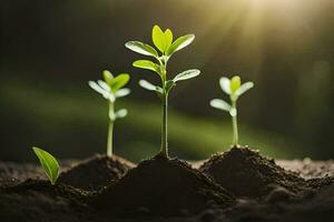 drie jong planten groeit in de aarde. ai-gegenereerd foto