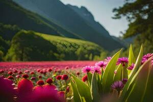 een veld- van roze bloemen in de bergen. ai-gegenereerd foto